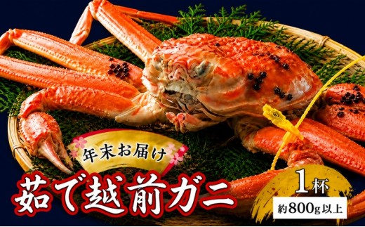
茹で越前ガニ【年末お届け】食通もうなる本場の味をぜひ、ご堪能ください。約800g以上×1杯 越前がに 越前かに 越前カニ ずわいがに かに カニ ボイルガニ [№5580-0587]
