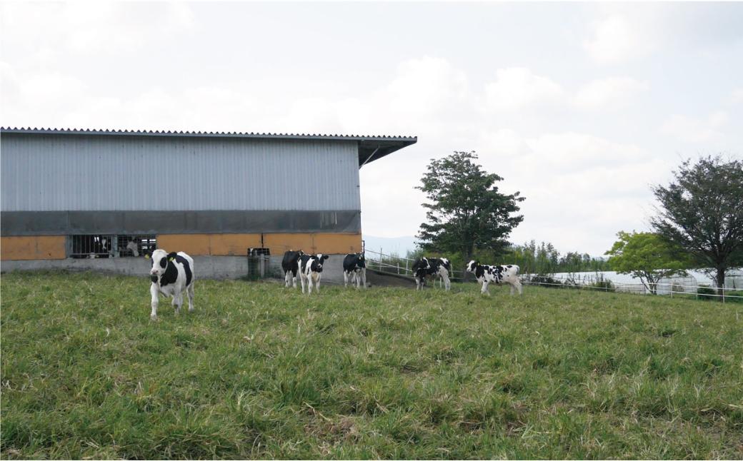 天美卵との相性抜群！大自然広がる大山山麓のふもとで育った牛の牛乳を使用しています！