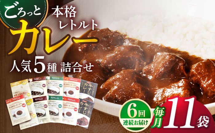 
【全6回定期便】【カレー好きのためのアソートセット】カレー工房NVfoodsのカレー5種（12袋）詰め合わせセット [KAB289]
