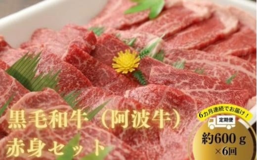 【定期便6回】　阿波牛 赤身焼肉セット 600g 冷凍 国産 黒毛和牛 阿波牛 和牛 牛肉 セット 赤身 マル イチボ クリ カメノコ トウガラシ バーベキュー BBQ