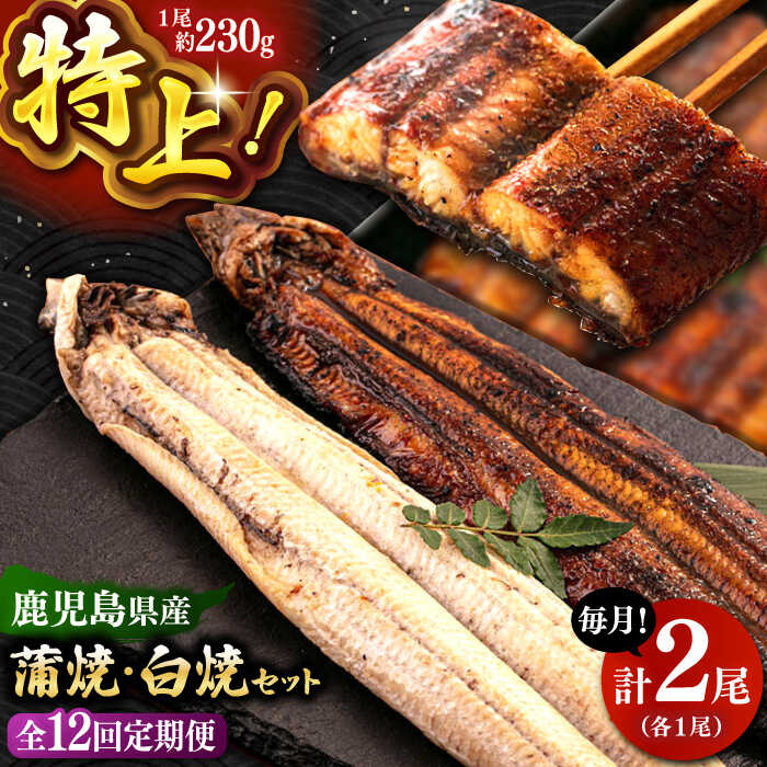 【ふるさと納税】全12回定期便 鹿児島産うなぎ2尾　蒲焼・白焼セット（たれ付き） ▼国産 ウナギ 特大 蒲焼き 特大 丑の日 食べ比べ 白焼きt 定期便 桂川町/山水商事[ADAH020] 200000 200000円 20万円 以上