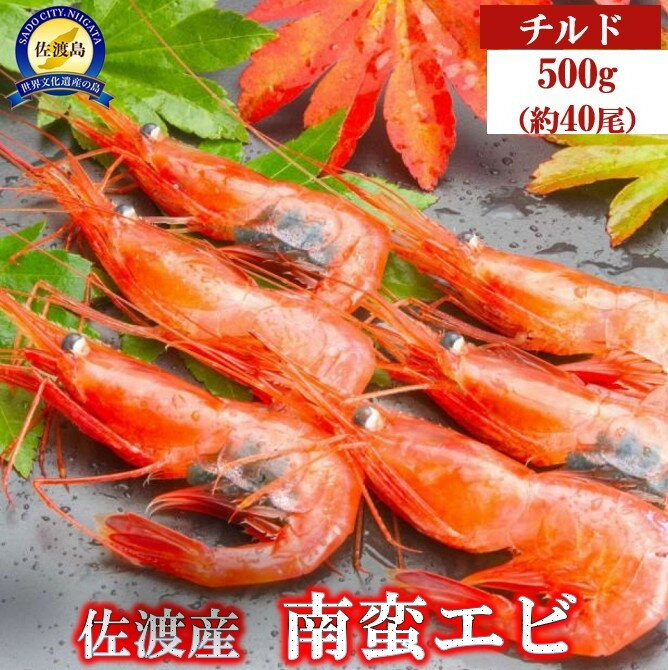 【ふるさと納税】佐渡産 南蛮エビ（甘エビ）チルド 500g（約40尾） | エビ 魚介類 水産 食品 人気 おすすめ 送料無料