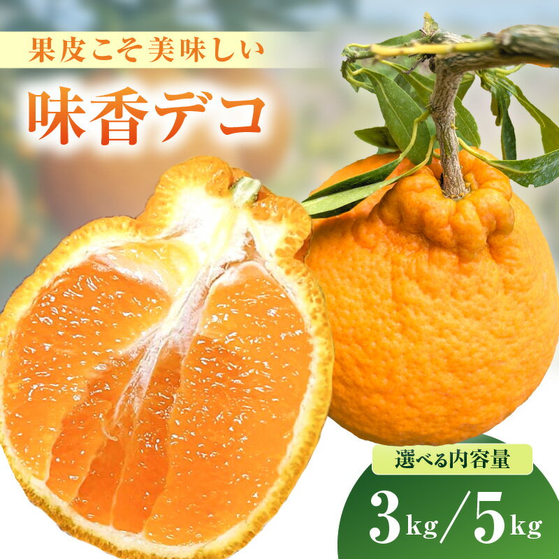 【ふるさと納税】【3月上旬から順次発送】果皮こそ美味しい味香デコ 糖度14度以上 不知火 ＜内容量が選べる／3kg・5kg＞