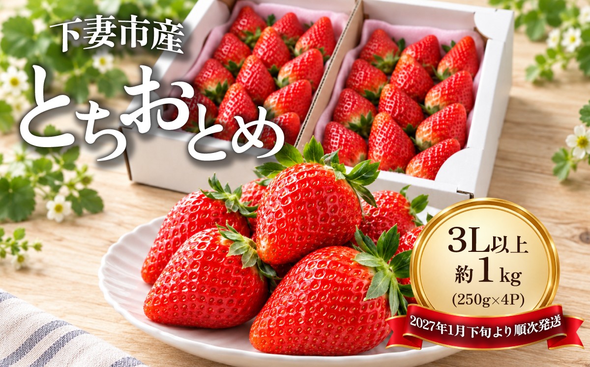 
                  とちおとめ 3L以上 約1kg  ( 250g × 4P )  いちご 下妻市産 【 2027年1月下旬頃～3月中旬頃発送予定 】【 いちご イチゴ 苺 とちおとめ ジューシー 果物 フルーツ 甘み 10000円 1万円 】[SZR]
                