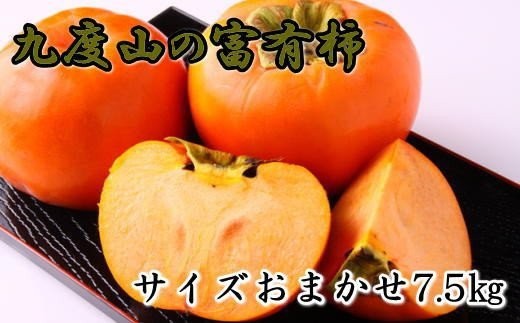 [柿の名産地]九度山の富有柿約7.5kgサイズおまかせ※2026年11月中旬～2026年12月上旬頃に順次発送【tec403B】