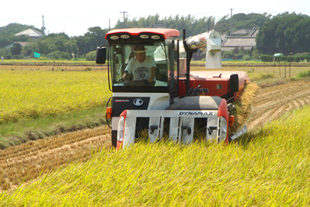 令和5年 富津産「ゆうだい21」20kg（精米）