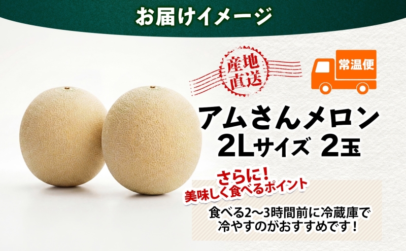 青森県産 つがりあんメロン 「アムさん」 2Lサイズ 2玉 完熟