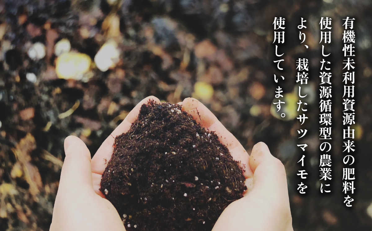 和饗の紅 ( わきょうのべに ) 芋焼酎 720ml × 1本 贈答用【 芋焼酎 お酒 甘藷 紅はるか 地酒 和食 日本食 ギフト プレゼント 父の日 】 和饗の紅 1本 【贈答用ラッピング付】 | 