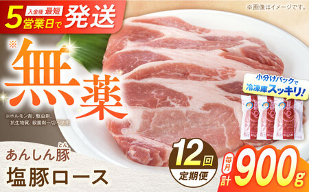 【12回定期便】《金賞受賞》 塩豚ロース 900g 豚肉 白川町 / 藤井ファーム[AWAF056]