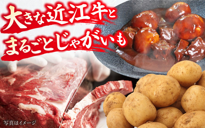 -あふひ 贅の極み- まるごとじゃがいもと近江牛のシチュー レトルト 2人前×5個セット ビーフシチュー デミグラスソース 保存食 恵那市 / テンポイント [AUEU024]