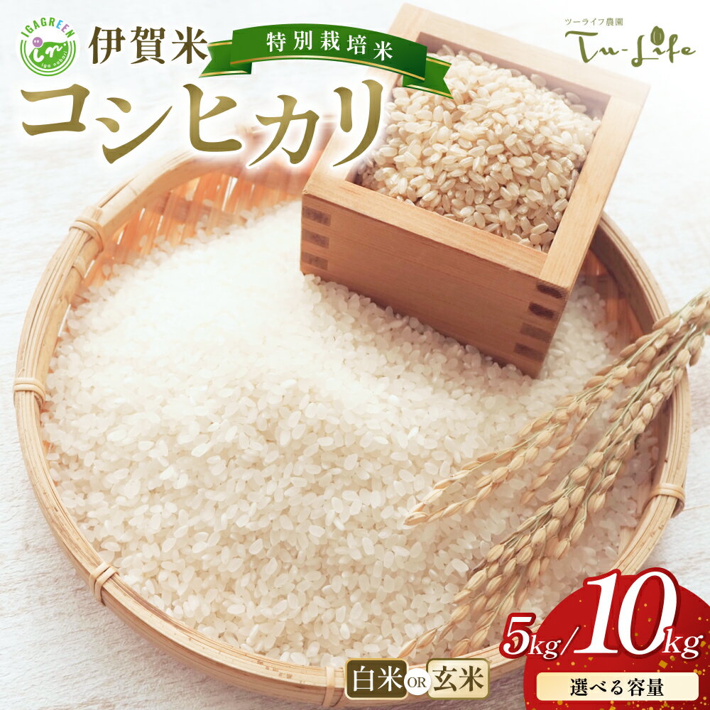 【ふるさと納税】伊賀米コシヒカリ 5kg ～ 10kg 白米 玄米 令和7年産 特別栽培米 送料無料 厳選された一粒 新米予約 安心安全の国産米 家計応援 新鮮な美味しさをお届けします