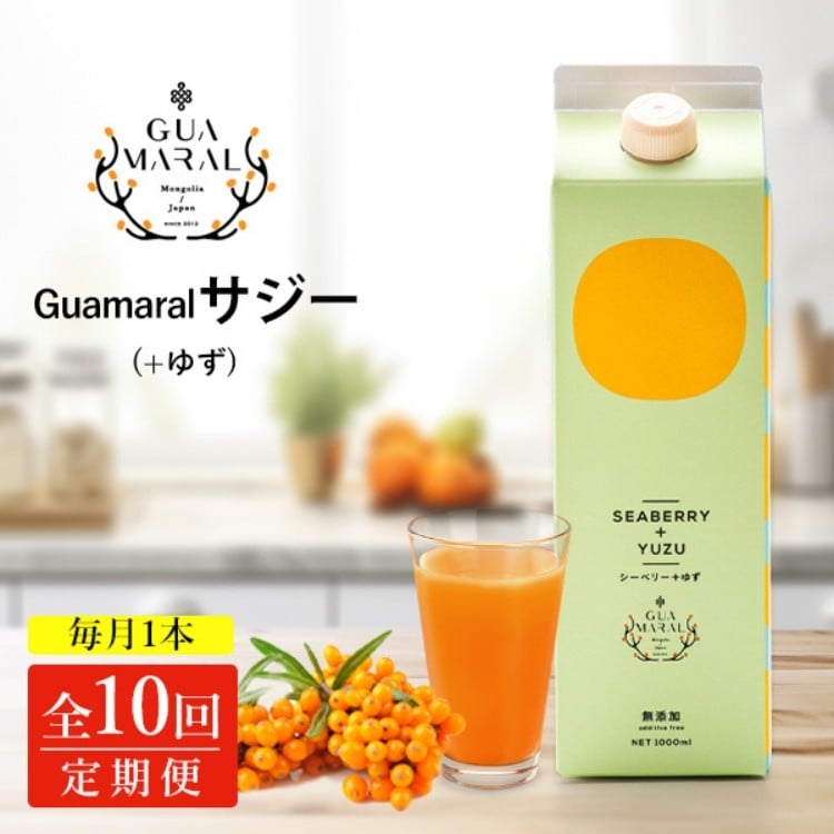 
            【定期便10カ月】サジー グアマラルサジー＋ゆず 1000ml　毎月1本10カ月コース｜サジージュース サジー 沙棘 グアマラル 健康ドリンク 健康 美容 栄養 果汁 鉄分補給 栄養補給 健康食品 _DX34
          