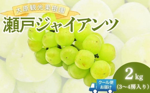 
                  【2026年先行予約】［大原観光果樹園］瀬戸ジャイアンツ 3～4房（約2kg）| マスカット 種無し ぶどう 葡萄 果物 くだもの フルーツ 岡山県産 岡山 鏡野町【026-a016】
                