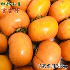 和歌山産富有柿ご家庭用約7.5kgサイズおまかせ【印南町】