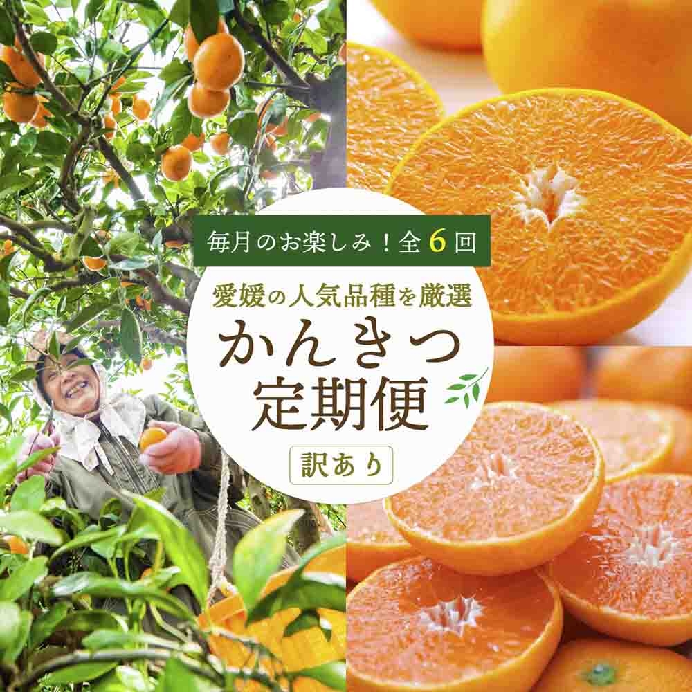 
                  ＜発送月固定定期便＞愛媛の人気品種を厳選! 旬のかんきつ定期便(訳)全6回＜H25-121＞【4002603】 YWTAP064
                