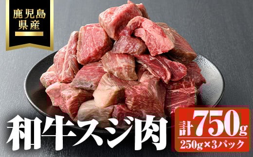 
            鹿児島県産和牛スジ肉 計750g(250g×3P) 鹿児島県産 和牛 スジ【ビーフ倉薗】A801
          