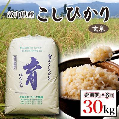ふるさと納税 南砺市 【発送月固定定期便】富山県産こしひかり　育(はぐくみ) 玄米30kg《南砺の逸品》全6回