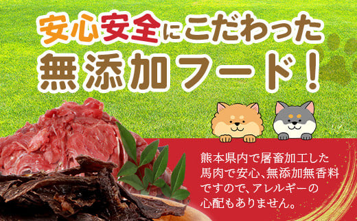 【定期便6回】熊本県内加工 ペットフード セット《 馬肉 切り落とし 1kg & 馬刺し ジャーキー 100g》×6回