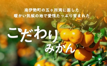 伊勢志摩産 こだわりみかん 約6kg 令和6年 11月 ／ ないぜしぜん村 みかん ミカン 蜜柑 送料無料 産地直送 フルーツ 果物 内瀬 甘い 濃厚 ジューシー  先行予約 三重県 南伊勢町