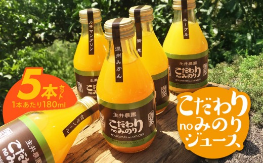 
                  柑橘ジュース 果汁100％ 5本 種類おまかせ 本格ストレート 和歌山県湯浅町産 厳選されたフルーツ 有田産 温州みかん 清見 ネーブル カラマンダリン セミノール 贈り物 ギフト用 ご家庭用 おうち用 和歌山県 湯浅町 送料無料 _ZS6163
                