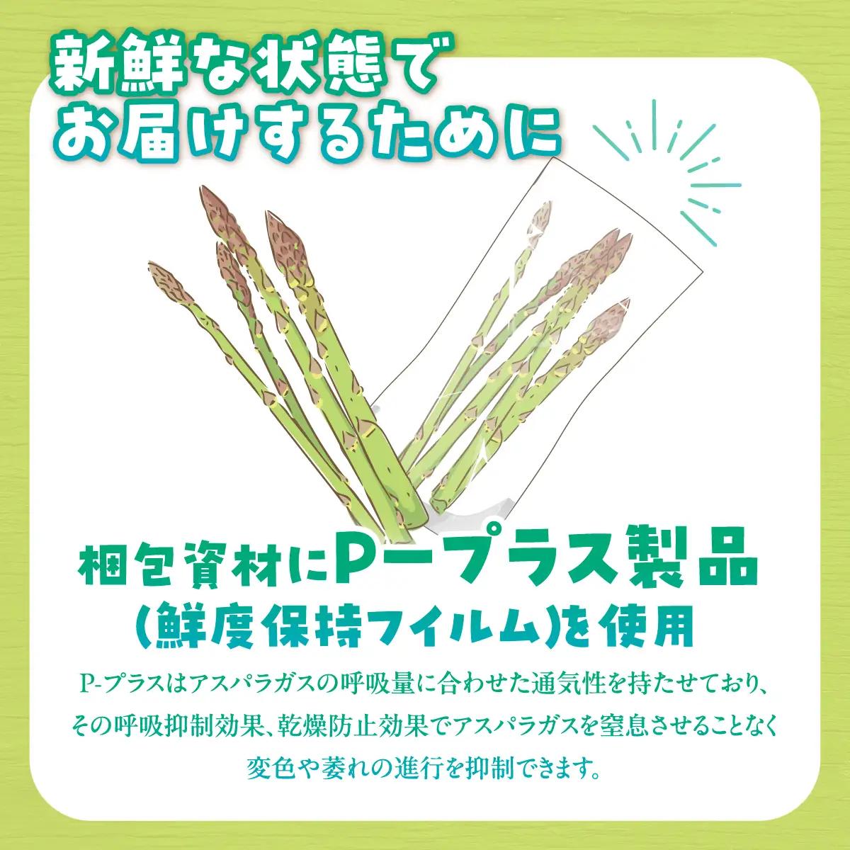 夏アスパラ2Lサイズ 約900g（150g×6袋入） MKWM004 