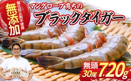 ブラックタイガー海老 10尾3パック(計720g程度) | 海老 エビ えび ブラックタイガー ぶらっくたいがー 海産物 冷凍 おすすめ 茨城県 ひたちなか市