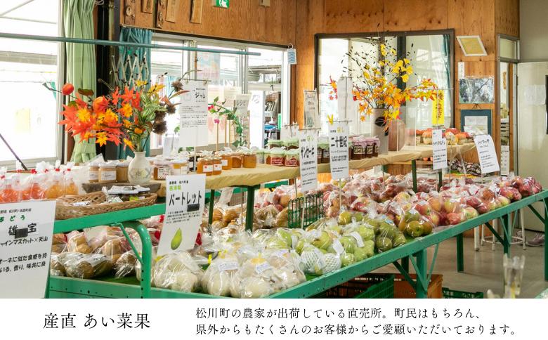 AS12-24A りんご サンふじ 越年自家用（松川町産） 約5kg ／2025年1月中旬頃～配送予定