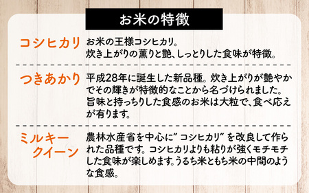 【先行予約 令和7年産】あいかみのお米 2kg（1kg × 2パック） 石川県産 特別栽培米 【コシヒカリ・つきあかり・ミルキークイーンのいずれかお届け】/ 新米 令和7年産 米 単一原料米 国産 こ