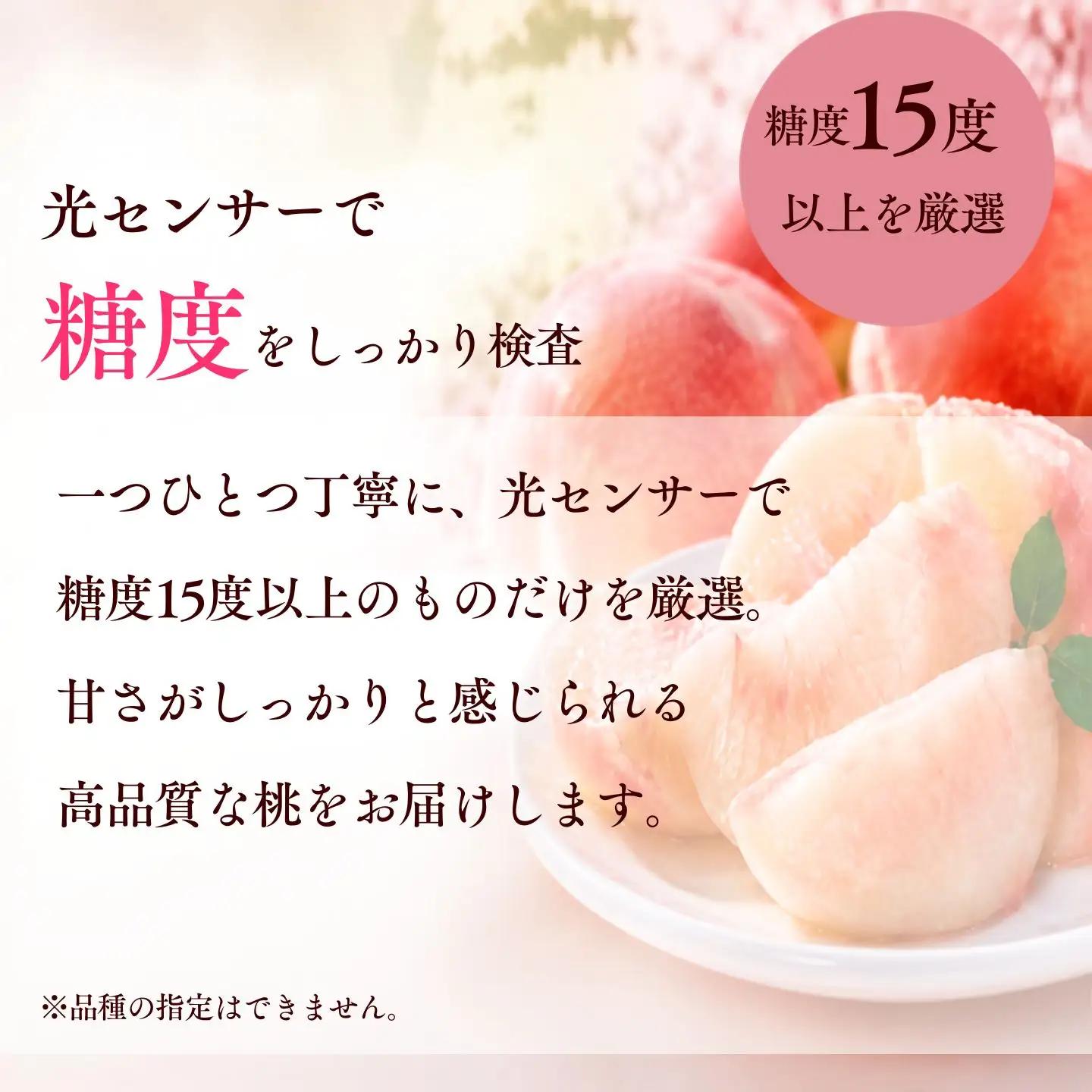 【ふるなび限定！】【2027年先行予約】糖度15度以上 都留市産 朝採れ桃 約2.0kg(５～８玉）