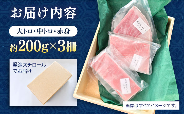 天然 まぐろ 大トロ・中トロ・赤身（約200ｇ×3柵）600ｇ【本まぐろ直売所】 [AKAK020]