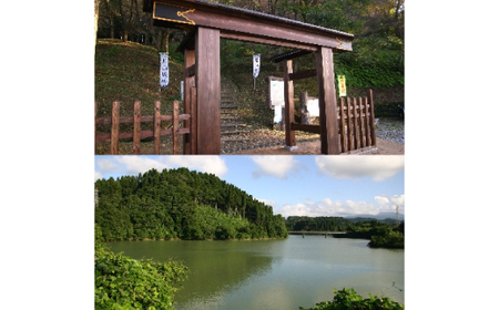 増山城御城印・戦国米(5kg)セット_精米 米_【1219502】