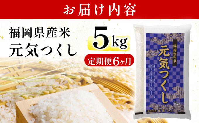 【6ヶ月定期便】福岡県産米 元気つくし 5kg 精米 令和7年産 ※北海道・沖縄・離島は配送不可【精米 7年産 国産 福岡県産 お米 ブランド米 5kg げんきつくし】CY011sub6