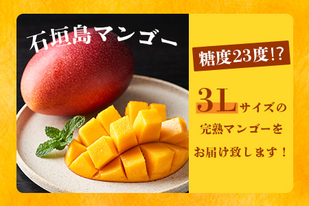 《2025年6月下旬～7月下旬発送》【先行予約】最高糖度20度！？ 完熟！3Lサイズ 石垣島マンゴー 2玉約900g【 沖縄 石垣島 石垣 八重山 マンゴー 完熟マンゴー 期間限定 数量限定 】TF-