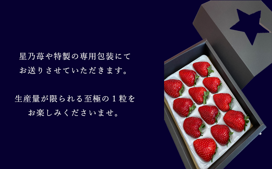 【先行予約】【古都華】1パック 2025年1月発送 ///苺 いちご イチゴ ストロベリー  古都華 奈良 奈良県 広陵町 生産者直送  直送 厳選 数量限定 旬 フルーツ 甘い 完熟 果物