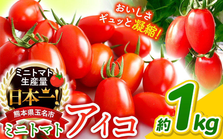 
                  ミニトマト アイコ 約 1kg サザキ農園 | 野菜 やさい トマト とまと ミニトマト アイコ 熊本県 玉名市 生産量 日本一 玉名市 !!
                
