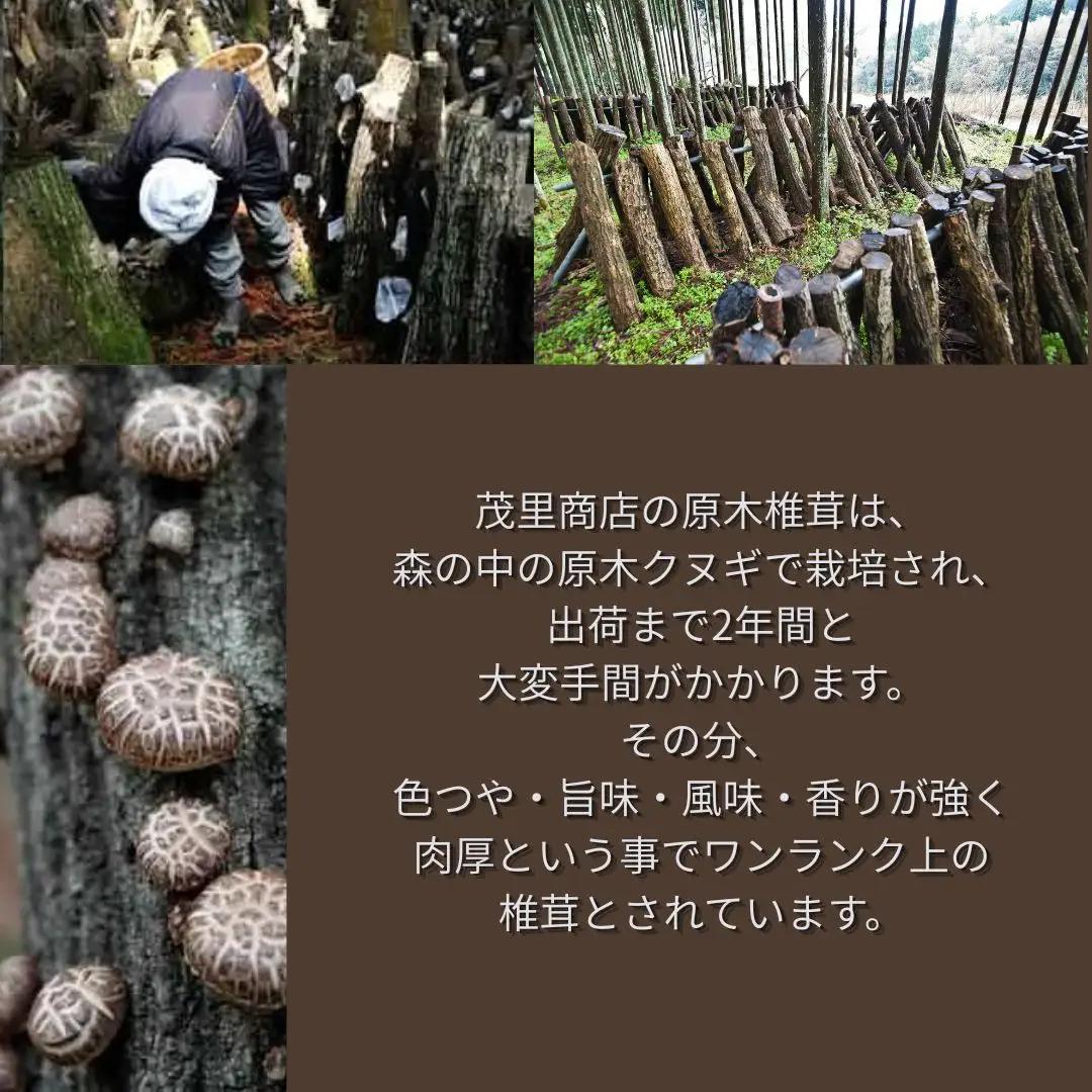 乾椎茸 一番椎茸セット | 津久見市