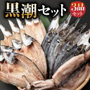 【ふるさと納税】黒潮セット 干物 3種類 詰め合わせ (アジ開き10枚 カマス開き10枚 スルメイカ1枚) 室戸海洋深層水仕込み 魚 魚介類 干物 イカ するめいか あじ 鯵 かます ? 魚 海鮮 魚介類 惣菜 おつまみ 冷凍 送料無料 iz002