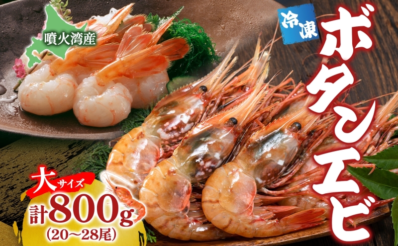 北海道 噴火湾産 冷凍ボタンエビ 大サイズ 計800g 20～28尾 ボタンエビ エビ えび 海老 北海道産 旬 ぼたんえび 刺身 牡丹海老 海鮮 魚介 甲殻類 味噌汁 鍋 海鮮丼 冷凍 洞爺湖町