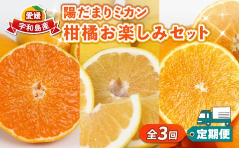 みかん定期便 全3回 早生みかん 10kg 屋根かけ 愛果28号 5kg 河内晩柑 10kg お楽しみ セット 陽だまりミカン 家庭用 柑橘定期便 蜜柑定期便 甘い 果物 フルーツ 柑橘 蜜柑 みかん mikan 早生 早生温州 温州みかん あいか かわちばんかん 高級品種 農家直送 産地直送 数量限定 国産 愛媛 宇和島 定期便定期便定期便定期便定期便定期便定期便定期便定期便定期便定期便定期便定期便定期便定期便定期便定期便 B045-050005