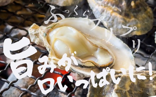 【数量限定】殻付き 生牡蠣（加熱用）1kg　| 軍手・牡蠣ナイフ付 牡蠣 カキ かき 生 殻付牡蠣 フライ 鍋 バーベキュー BBQ 海鮮 魚介 魚貝 貝 海 海産物 渥美半島 田原市 愛知県 国産 
