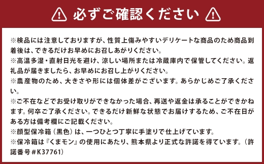＜ R8年熊本地震復興支援 ＞塩トマト S ～ M玉 10個入り （ 約1kg ） くまモンの顔型保冷箱つき （ 黒色 ） トマト とまと 野菜 やさい 塩 くまモン 保冷箱 季節限定 国産 熊本県産 冷蔵 【 2026年12月上旬～2027年3月下旬まで順次発送予定 】
