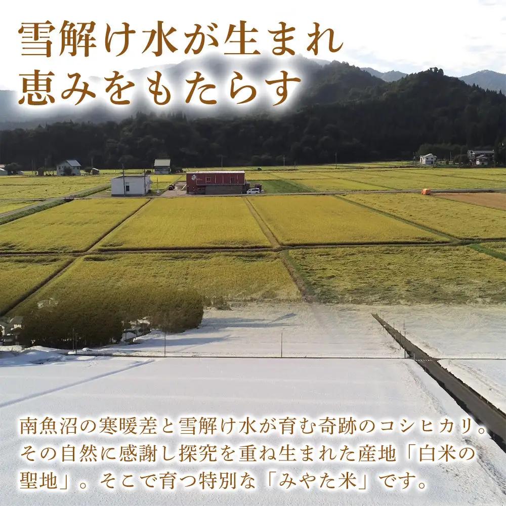 【令和8年 新米予約】【定期便9ヶ月】南魚沼産こしひかり　みやた米20kg（5kg×4袋）【2026年10月上旬より1ヶ月以内に順次発送予定】｜こしひかり