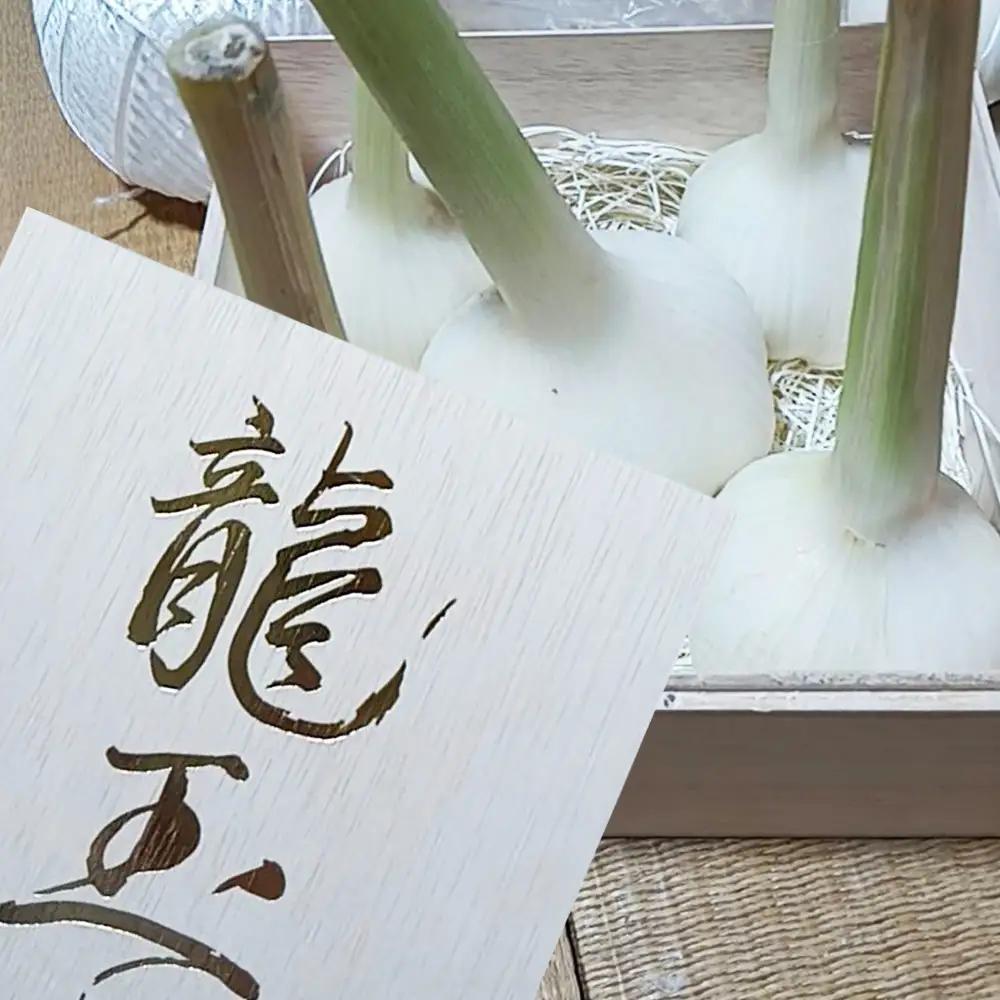 ジャンボニンニク「龍玉」無臭にんにく ／ にんにく ガーリック 龍玉 大粒にんにく 食べ応え にんにく料理 ホイル焼き ガーリックステーキ 丸ごとにんにく ごろっとにんにく 国産 産地直送 兵庫県 N