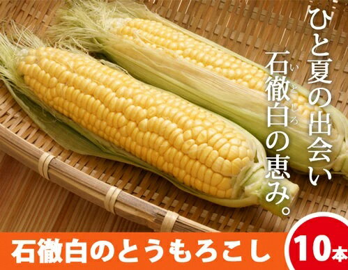【ふるさと納税】先行予約《数量限定・期間限定》いとしろトウモロコシ 10本入 1箱 / 5本入 2箱 とうもろこし 大粒 甘い おいしい ほしつぶ コーン 野菜 やさい 旬 夏 BBQ 焼肉 10000円 1万円