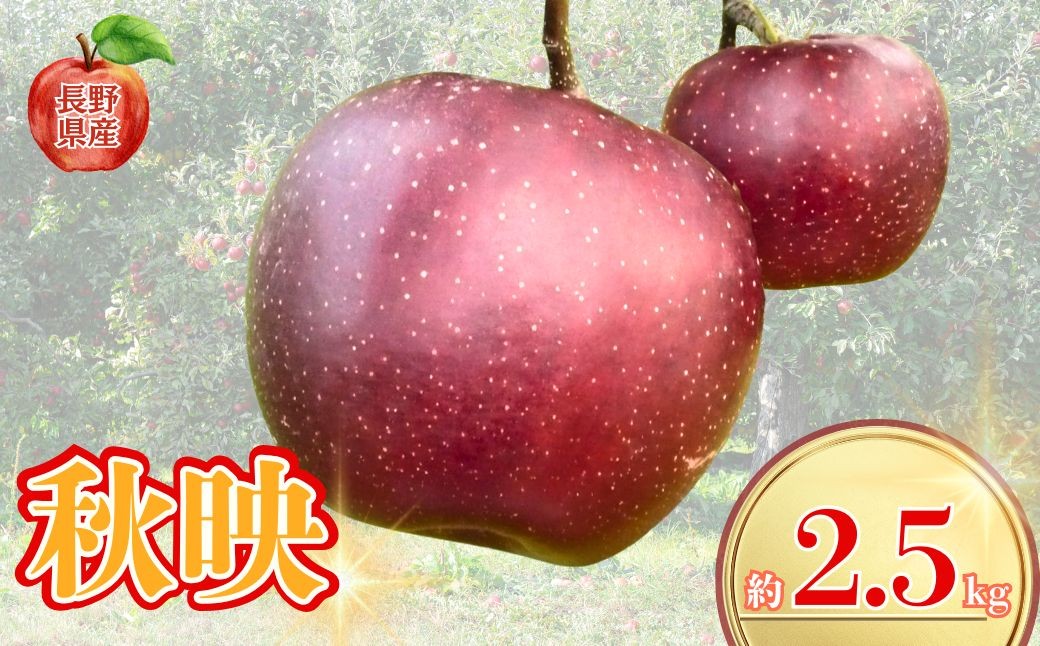 
            長野県産りんご 秋映 約2.5kg｜林檎 あきばえ 千曲市 長野県産 信州
          
