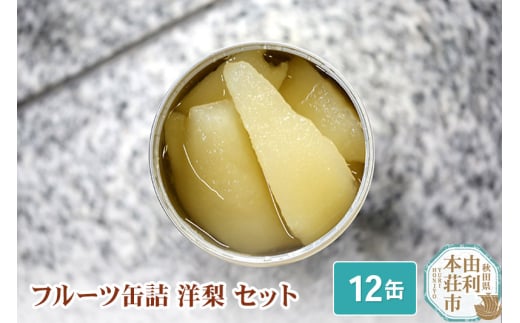 Sanuki フルーツ缶詰 洋梨 12缶セット