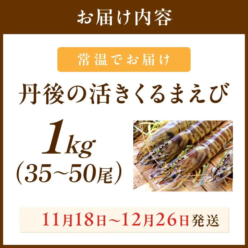 丹後の活きくるまえび 1kg（35～50尾） えび