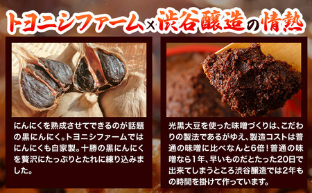 豊西牛 黒にんにくみそホルモン 800g (200g×4袋) トヨニシファーム 《60日以内に出荷予定(土日祝除く)》北海道 本別町 肉 ホルモン 豊西牛 黒にんにく 送料無料