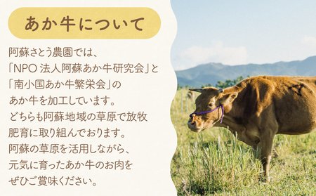 【ふるさと納税】阿蘇タカナード70g と あか牛 焼肉用 250g すき焼き用 250g セット 阿蘇高菜 あか牛 阿蘇さとう農園