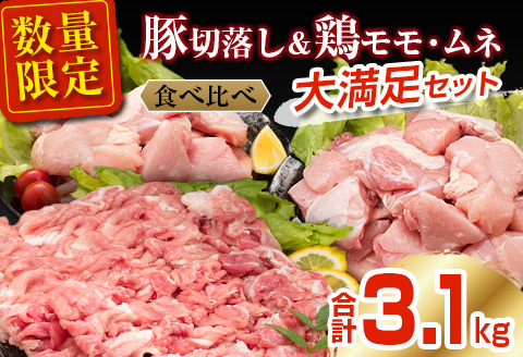 数量限定 豚肉 切り落とし 鶏肉 モモ ムネ セット 合計3.1kg 国産 食品 ポーク チキン おかず 人気 大容量 万能食材 焼肉 から揚げ 炒め物 お弁当 おつまみ 詰め合わせ 食べ比べ 小分け 便利 おすすめ グルメ お取り寄せ おすそ分け 宮崎県 日南市 送料無料_BC115-25